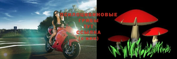 а пвп мука Аркадак