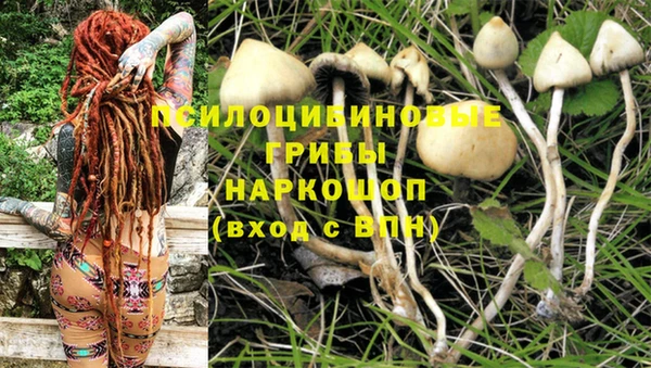 спайс Алзамай