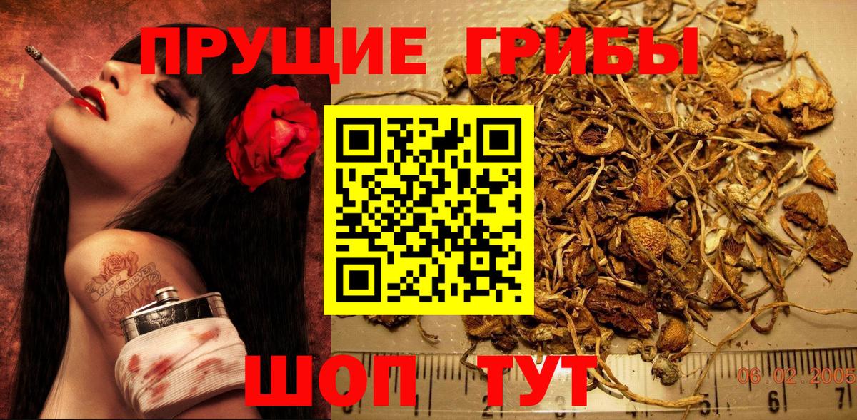 Псилоцибиновые грибы Psilocybine cubensis Учалы